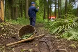 連続発生するクマ被害、山林で高齢者が負傷 由利本荘と仙北で相次ぐ