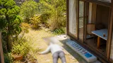 自宅庭先で90代女性が倒れ死亡 猛暑下の高齢者対策が課題に