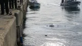 明石・林崎漁港沖でうつぶせの男性遺体 身分証なしで搬送