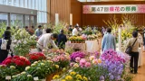 県花の祭典、11月アルヴェで開催へ