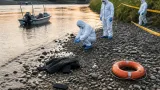 阿南市の河川で16歳男子高校生の遺体発見 水難の疑いで調査続く