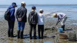 荒尾干潟で始まるマジャク釣り体験、漁業文化と自然を伝える夏
