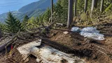 秋田で見つかったB29、富山大空襲と結びつく新事実
