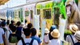 千葉・北総線で沿線魅力発信のラッピング車両運行始まる