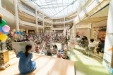 夏休みに絵本ライブやビブリオバトル 県の「子ども読書の集い」開催
