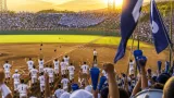 和歌山の智弁、甲子園８強進出 仙台育英と準々決勝へ