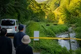秩父・大滝でクマ2頭を目撃 住民に警戒呼び掛け