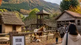 開園約40年のどんぐり村、来年秋に閉園へ
