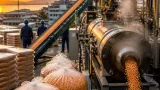ナフサ不足で再生プラスチック需要が急増 福井の工場はほぼフル稼働