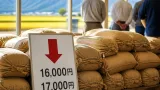 福井の新米概算金、主要銘柄で1万円超の大幅下落が示される