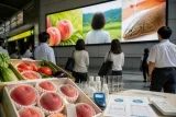 県のPR動画が首都圏・関西で放映 産品の安全訴求へ