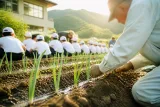 福山で幻の特産ネギ復活へ 児童と住民が学校菜園で栽培開始