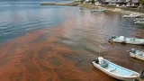 福山・内浦湾で有害プランクトン確認 県東部に2回目の赤潮注意報