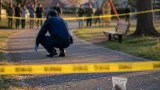 岐阜・加納公園で切断されたウサギの頭部発見、警察が動物愛護法違反で捜査