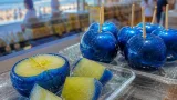 八戸・かぶーにゃで販売開始 真っ青な冷凍りんごあめ登場