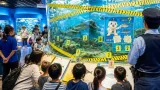 八戸・マリエントで特殊詐欺を題材にした水槽展示、謎解きで防犯啓発