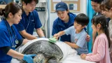 八戸・マリエントでアオウミガメ「ゆうき」健康診断 成長を確認、来館者が体験