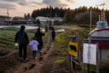 八戸・南郷でクマ目撃 住民へ警戒と行動上の注意を呼び掛け