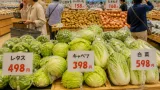 葉物野菜の高値続く 買い控えと代替策が家計の関心事