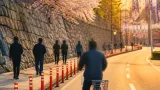 弘前公園周辺で路上駐車対策強化 通行安全と自転車マナーが課題に