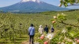 弘前・りんご公園が伝える土地と果樹の物語
