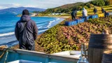 海の幸減少と作物の北上、温暖化が変える道北の漁業と農業