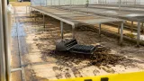 ブランドいちご苗約2000株が盗難か 生産・流通に広がる懸念