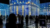 高知で名画の世界に浸る「イマーシブミュージアム」開幕
