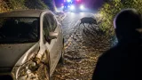夜の農道で1メートル級イノシシと衝突、運転の男性が軽傷