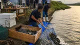 一色町で「うなぎ供養」 養殖業者が感謝と来季の豊漁を祈願