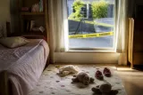 群馬の住宅で６歳と３歳の兄妹が死亡 父親を逮捕