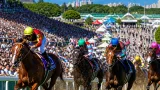 ＪＲＡ夏開催開幕 新潟競馬場で「新潟日報賞」盛況