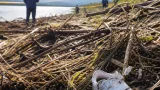 鹿児島・霧島で見つかった遺体、行方不明の５歳児と確認