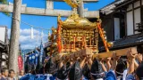 金色のみこしが里を練る 加茂大祭、２年ぶりの復活