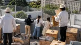 金沢・片町で始まった都市養蜂 街なかで育む自然と学び