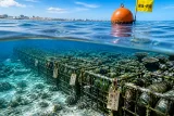 宜野湾沖の海底で泡盛を熟成する宿泊体験、地域保全と結ぶ新観光プラン