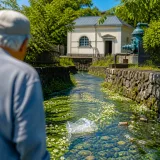 四日市・生桑の用水路で見つかる梅花藻と保全の課題