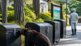 強化ごみ箱導入でクマ被害ゼロ 軽井沢発、全国展開へ
