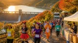 里山を楽しむ参加型ラン、川西で11月に開催