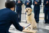 警察犬の活躍に感謝状 高齢者捜索の重要性が浮上