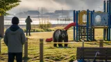 気仙沼でクマ目撃 市が周辺住民に注意喚起