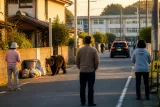 小学校近く住宅街でクマ目撃 北上市で住民に警戒呼び掛け