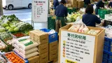 北九州の青果業者が企業内回収箱で食料支援を継続、子育て家庭へ届ける