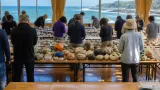高知・黒潮で漂着物学会 地域の海岸管理を考える集まり