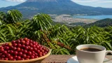国産コーヒーの産業化へ 霧島で初の全国シンポジウム、技術と観光結ぶ試み