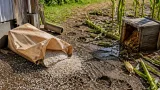 トウモロコシや蜂蜜、コメ袋が荒らされる 県内でクマの物的被害相次ぐ