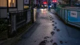住宅街で相次ぐクマ目撃 富山で警戒続く、学校行事にも影響