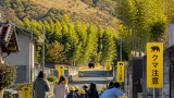 京都でクマ・シカの出没増加 注意呼びかけ