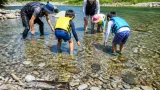 親子で自然体験 熊野市の川遊びでアマゴのつかみ取り