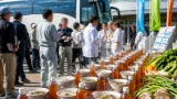 地元食材巡りと試食で「食の新習慣」を訴求 桑名でジャワティ×飯田商店のツアー